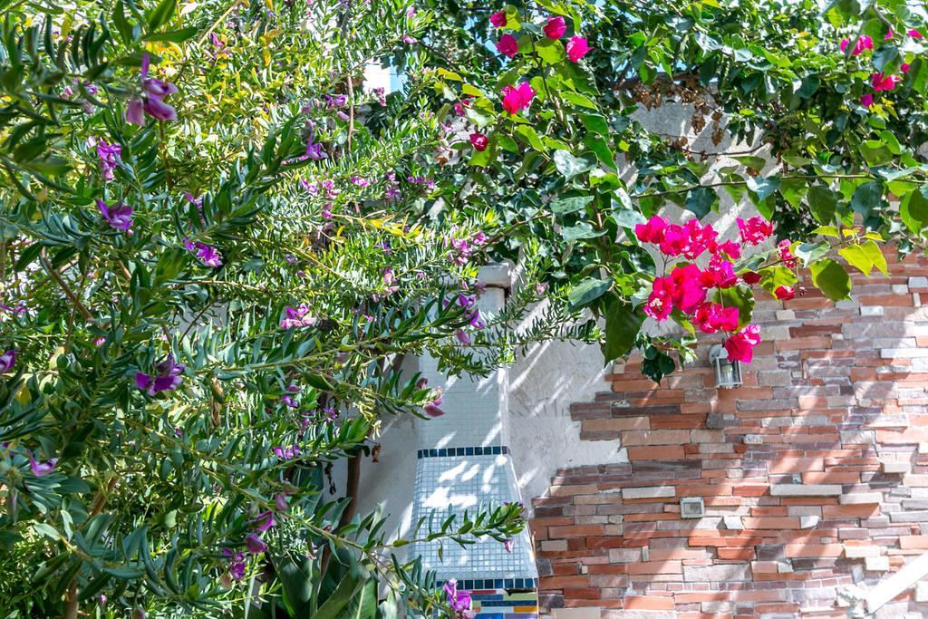 Villino Claudia 30 Mt Mare Villa Porto Cesareo Dış mekan fotoğraf